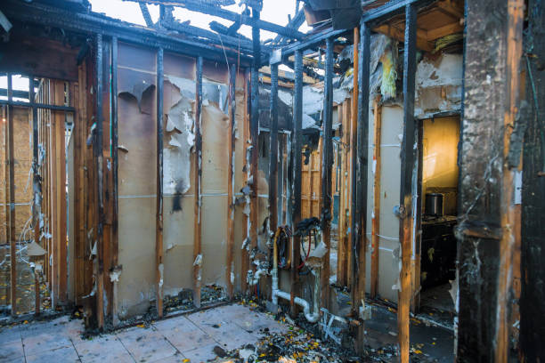 Professional Fire Damage Removal technician working in Yellville, AR